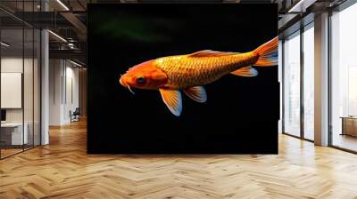 A vibrant orange koi fish swimming gracefully in a dark aquatic environment. Wall mural