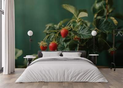 A vibrant strawberry plant in a woven pot, showcasing ripe strawberries against a green backdrop. Wall mural