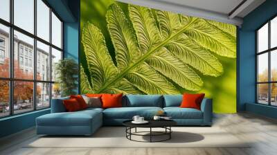 Close-up of a vibrant green fern leaf showcasing intricate textures and patterns. Wall mural