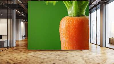 Fresh Carrot with Green Background Wall mural