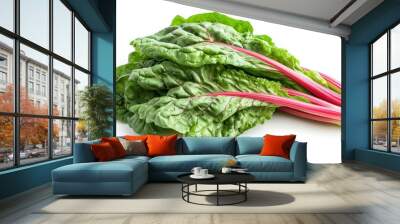 Fresh Swiss chard with vibrant green leaves and pink stems, ideal for salads and cooking. Wall mural