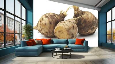 Three unpeeled root vegetables with a rough exterior, showcasing their natural form. Wall mural