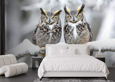 Two owls perched on a snowy branch, showcasing their striking features in a winter landscape. Wall mural