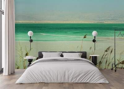 Beautiful coast of the Dead Sea . Wall mural