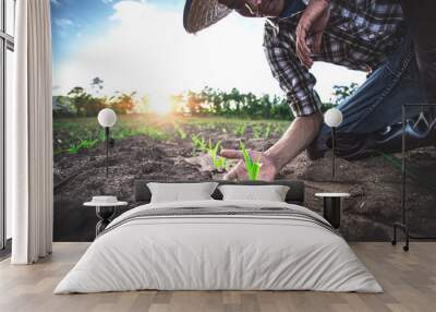 Young farmer sitting examining young corn maize crop plant in cultivated agricultural field. Wall mural