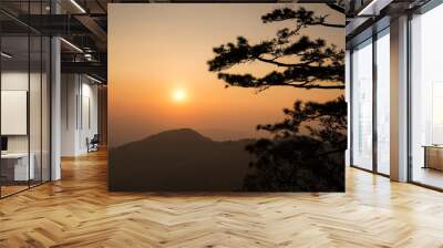 silhouette of pine tree at sunset Wall mural