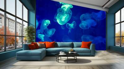 Jelly fishes are swimming and glowing in the dark. Wall mural