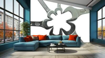 Stainless Steel Wrench close up Wall mural