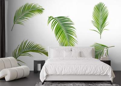 Collection of palm leaves isolated on white background Wall mural