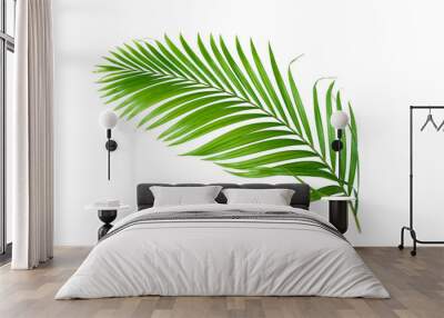 Green leaves palm isolated on white background. Wall mural