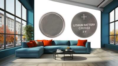 Lithium battery  isolated  on white background. Wall mural