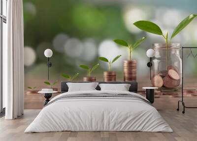 Plant growing from coins . Investment or education concept Wall mural