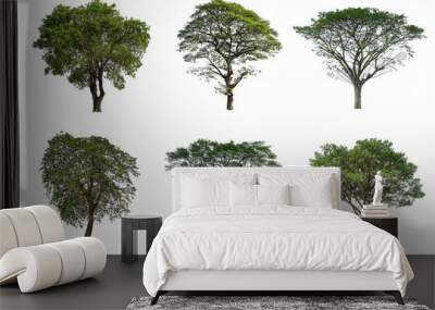 Set of Tree isolated on white background Wall mural