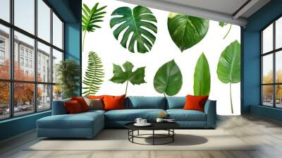 Set of tropical green leaves isolated on white background. Wall mural