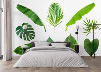 Set of Tropical leaves isolated on white background. Wall mural