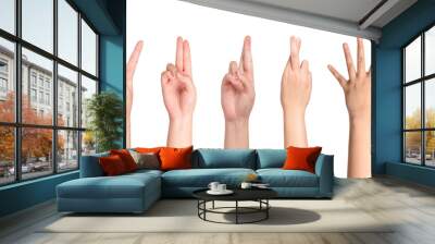 Set of Woman hand hands isolated on white background Wall mural