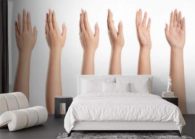 Set of woman hands isolated on white background Wall mural