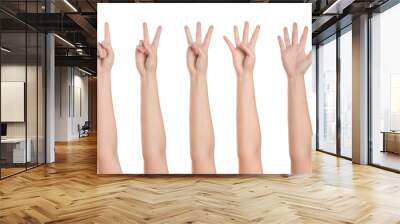 Set of woman showing hands isolated on white background Wall mural