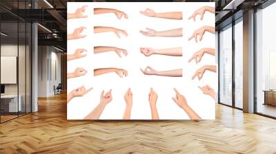 Set of Young woman hands isolated on white background. Wall mural