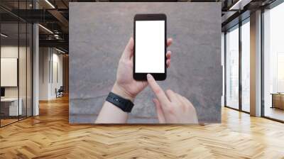 Cropped shot view of business woman’s hands holding the mobile phone with blank copy space screen for your information content or text message. Wall mural