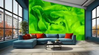 Close-Up organic vegetables green health concept.	
 Wall mural