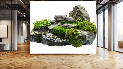 forest stream on green moss rock scenery piece isolated on a white background Wall mural