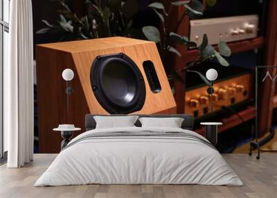 high-quality speakers, wooden cabinets in the music room. hi-fi sound system in the home music room. Wall mural