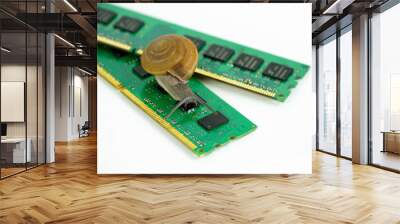 Snail on RAM memory chip on a white background.  Slow RAM, Computer components. Delayed computer concept. Wall mural