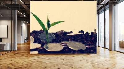 Vintage style. Tree with green leaves growing from coin, money management concept for SME. Wall mural