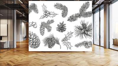 Pine branches isolated hand drawing vector illustration set. Engraved mistletoe, fir or spruce cones and leaves vintage sketch. Plants and Christmas concept Wall mural