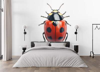 Close-up view of a vibrant red ladybug with distinctive black spots, perfect for nature and entomology themes. Wall mural