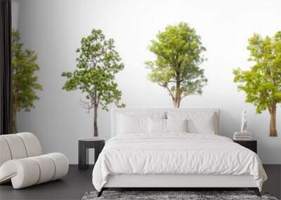 collections green tree isolated on white background. Wall mural