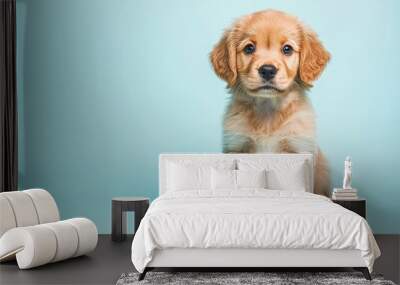 Adorable golden puppy , isolated on white background,  , copy space for text, Wall mural