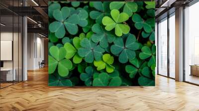 Green clover leaf isolated on white background. with three-leaved shamrocks. St. Patrick's day holiday symbol. Wall mural