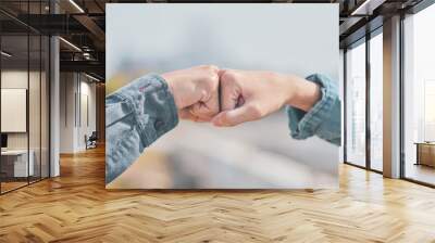 People are shake hand relationship  community partner Wall mural