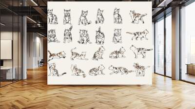 Set of Hand drawing cats vintage style vector illustration collection. Line art, outline domestic animals collection. Wall mural