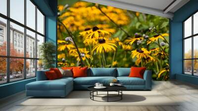 field of yellow flowers Wall mural