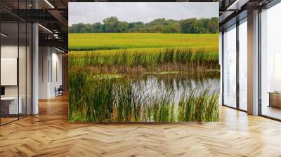 Scenic farm land with still pond and blue sky Wall mural