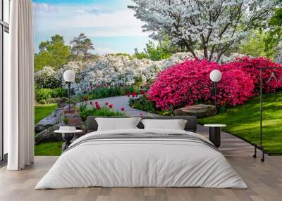 Curved path through banks of Azeleas and under dogwood trees with tulips under a blue sky - Beauty in nature Wall mural