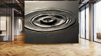 waves on a surface that resonates after impact modern illustration of ripples on black water Wall mural