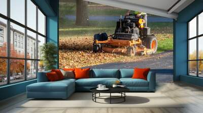 Worker on  a Standing mower and leaf mulcher, doing fall clean  up Wall mural