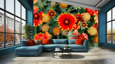 Colorful orange, red and yellow Gerbera Wall mural