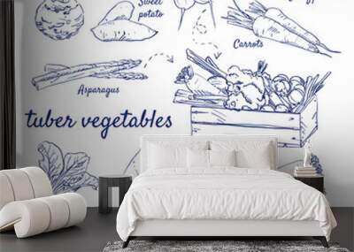 doodle set of tuber vegetables - celery root, radish, salsify, carrots, asparagus, beetroot, swede,  Wall mural