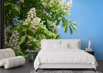 blooming chestnut tree with white blossoms and blue sky Wall mural