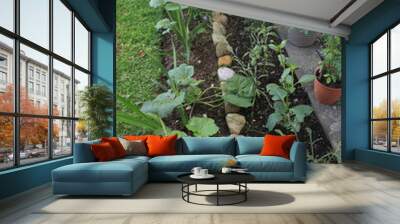 Stones Gardening Wall mural