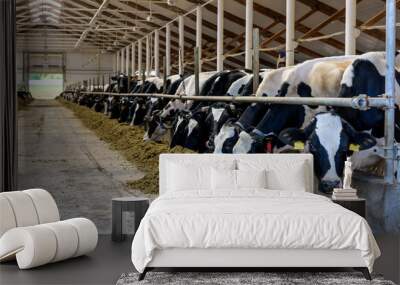 Milking cows eating in modern farm cowshed. Wall mural