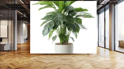 Big Green Fresh Houseplant In Flowerpot. Interior Design Mockup. Front View. Ai Generative Wall mural