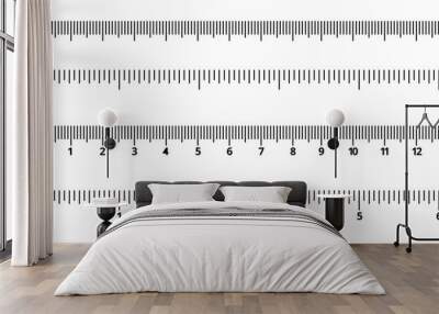 scale ruler centimeter and inch isolated on white background Wall mural