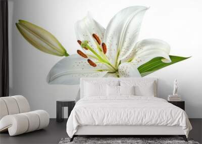 White lily flower isolated on white background Wall mural