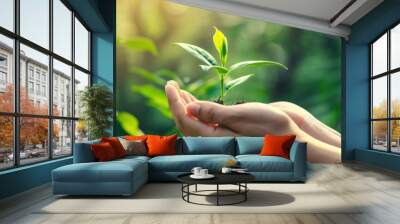 Woman's hand holding a growing plant Beautiful blurred abstract green nature background. Wall mural